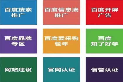 实战经验：竞价推广公司成功案例解析